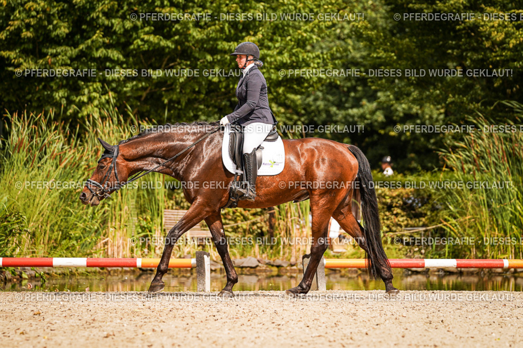 DSC01764 | Pferdegrafie