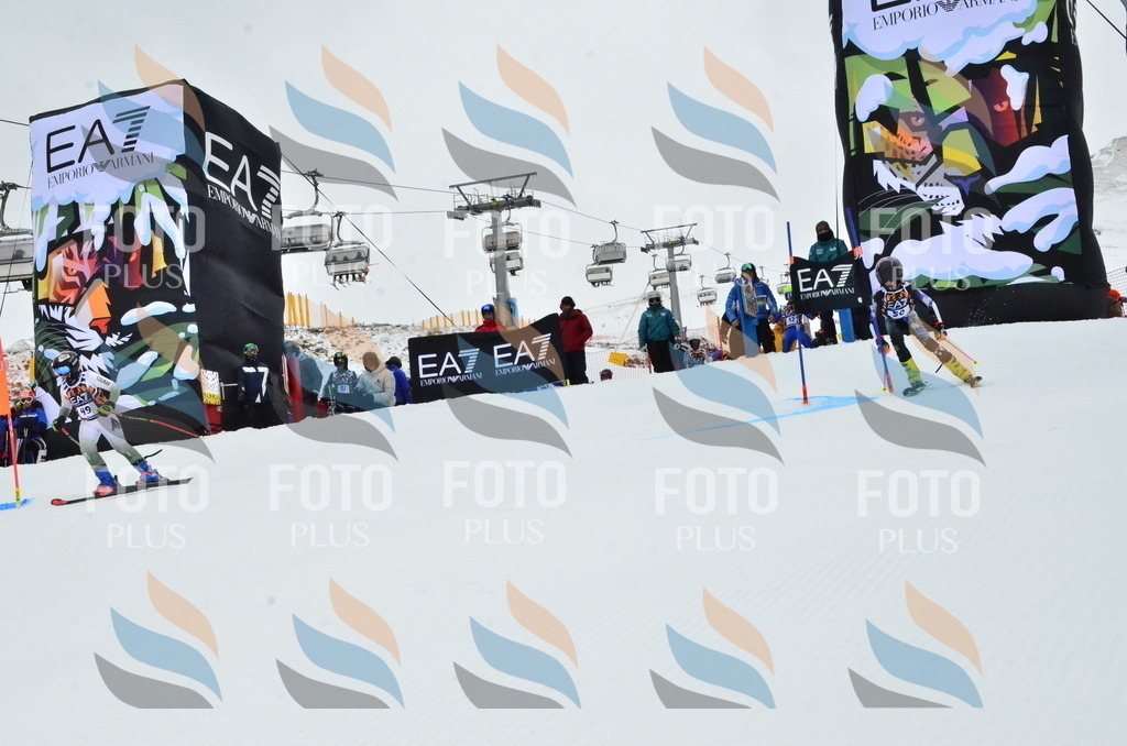 _ELE3383 | holidayphoto