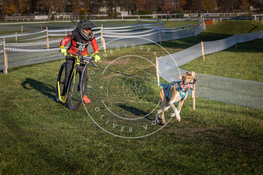 CaniXpix_0L8A3856 | Hundefotografie, Tierfotograf, Pfotenfotografie, Fotoshooting Hund, Hunde Portrait, Hundesport, Hundeportraits, Heideshooting, Hunde, Sportfotograf, Hundefotograf, Turnierhundsport, THS,  - Realisiert mit Pictrs.com