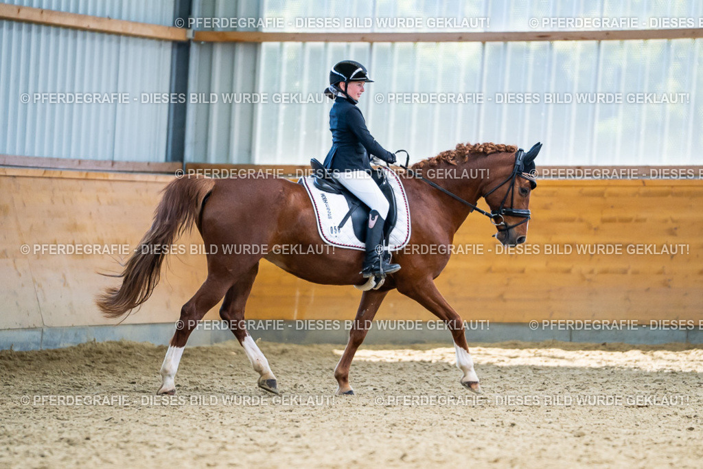 DSC05162 | Pferdegrafie