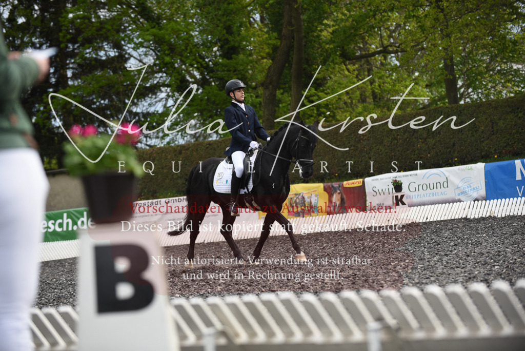 20230513_JK-Röhrsdorf-16-292 | Pferde- und Turnierfotografie in Westsachsen. Pferdeportraits, Auftragszeichnungen und intuitive Kunst.