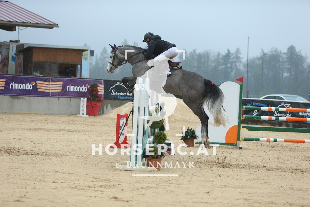 DL2Q8158 | Willkommen bei Brunnmayr - Design & Fotografie – Ihrem Spezialisten für Reitturniere und Pferdeveranstaltungen in Oberösterreich, Salzburg und Bayern! Seit über 17 Jahren sind wir leidenschaftlich dabei.