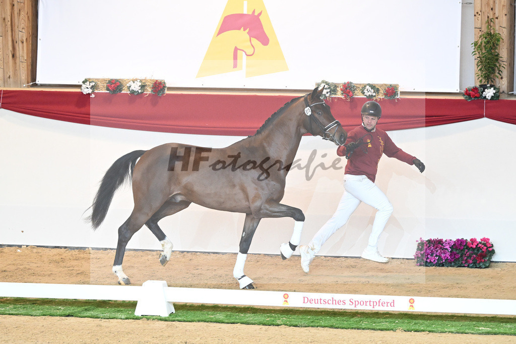 Kat-Nr. 75 Valverde_Schoenland_1230440 | hf-fotografie - Realisiert mit Pictrs.com