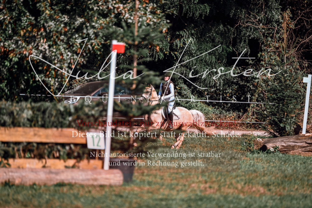 DSC_1129 | Pferde- und Turnierfotografie in Westsachsen. Pferdeportraits, Auftragszeichnungen und intuitive Kunst.