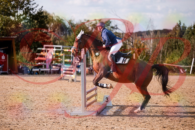 2026_10_03_Siefer-Hof_160627_Z81_87972863 | Professionelle Reitsport-, Turnier- und Eventfotografie von Robert Broda. Galerien mit ausgewählten und bearbeiteten Bildern direkt online ansehen und bestellen.