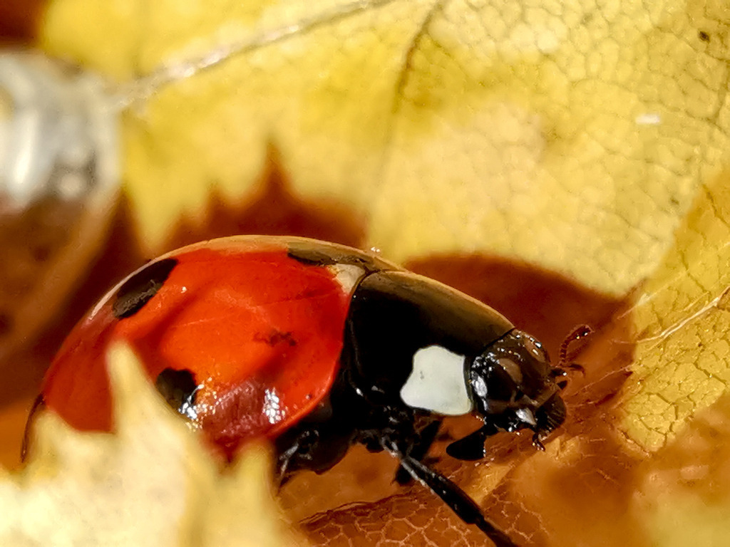 PSX_20230911_223122 | mtkfoto_ - Realisiert mit Pictrs.com