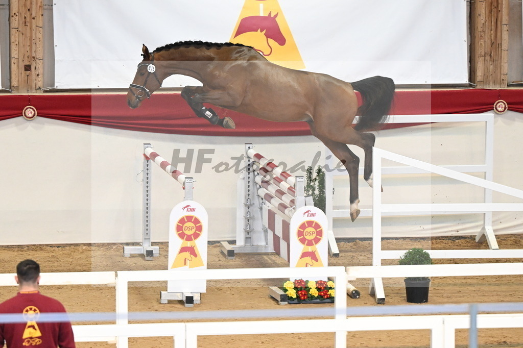 Kat.-Nr. 16 v. Denzel van het Meulenhof_Schulze Averdiek_3261599 | hf-fotografie - Realizzato con Pictrs.com