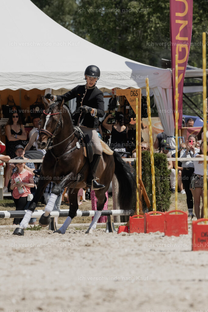 WE_SP_Stoib_330_PI2025_1983 | Pferd International München 2025