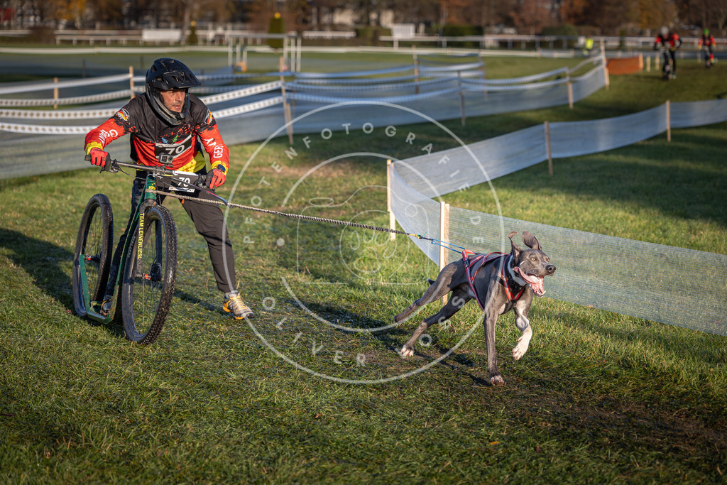 CaniXpix_0L8A3303 | Hundefotografie, Tierfotograf, Pfotenfotografie, Fotoshooting Hund, Hunde Portrait, Hundesport, Hundeportraits, Heideshooting, Hunde, Sportfotograf, Hundefotograf, Turnierhundsport, THS,  - Realisiert mit Pictrs.com
