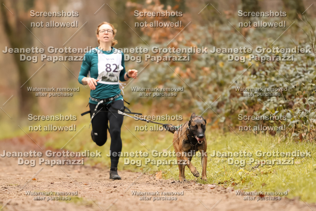 Dog Paparazzi - Speedhunter Mannheim  2025-235 | Dog Paparazzi Jeanette Grottendiek Fotografie & Videografie