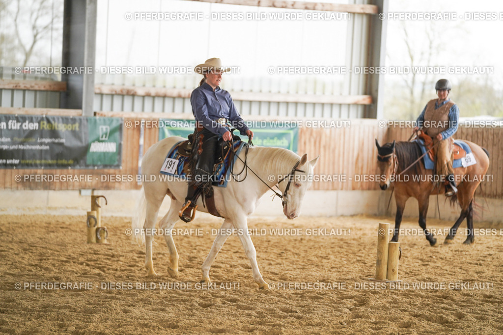 DSC04399 | Pferdegrafie