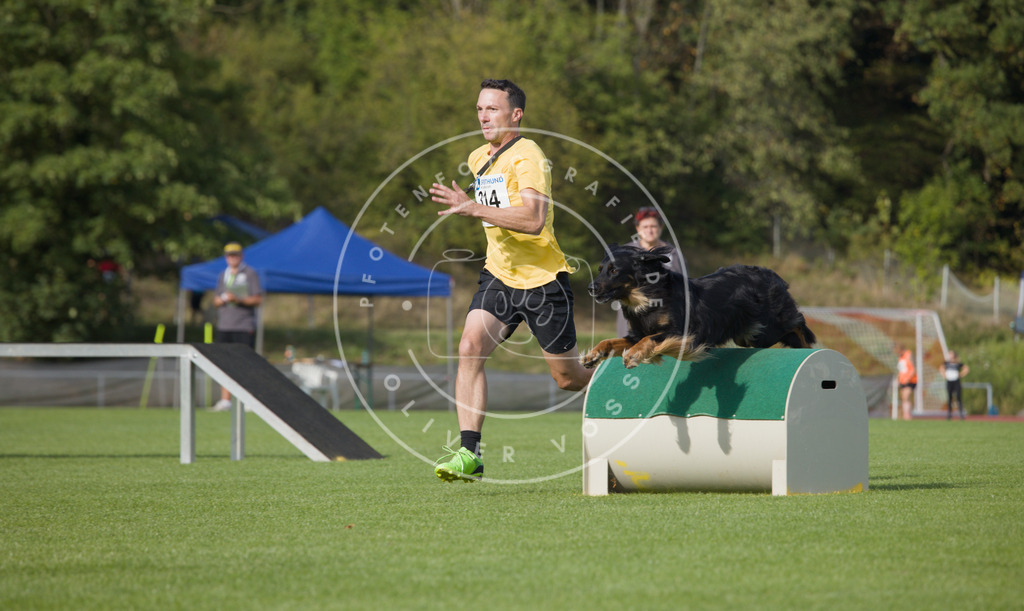 0L8A3825 | Hundefotografie, Tierfotograf, Pfotenfotografie, Fotoshooting Hund, Hunde Portrait, Hundesport, Hundeportraits, Heideshooting, Hunde, Sportfotograf, Hundefotograf, Turnierhundsport, THS,  - Realisiert mit Pictrs.com