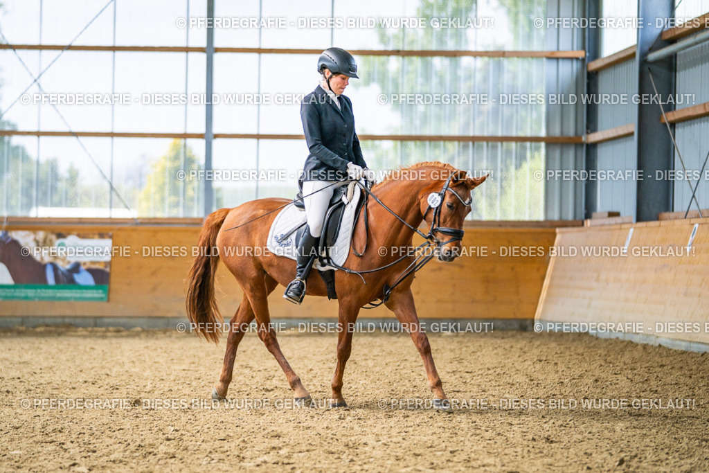 DSC03938 | Pferdegrafie