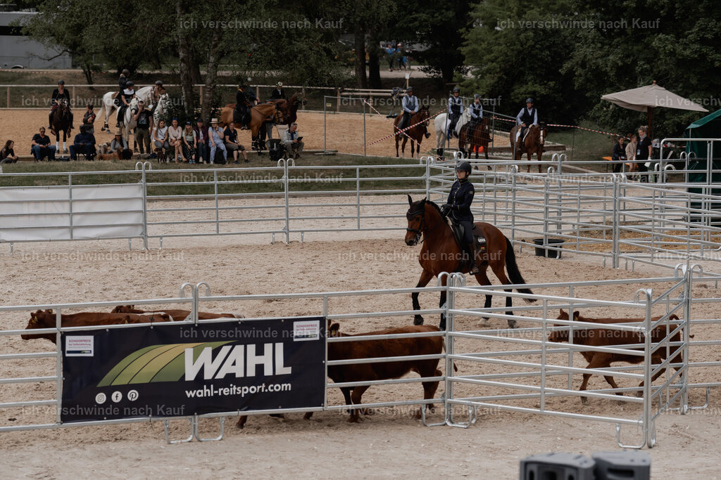 WE__Stoib_Rinder_PI2025_3152 | Pferd International München 2025