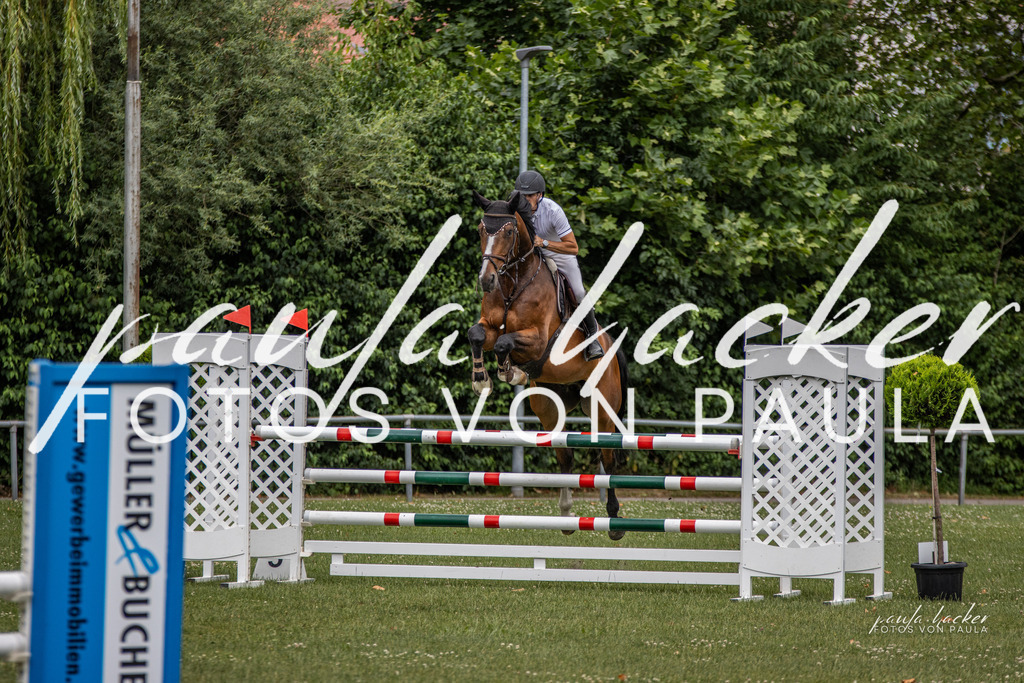 IMG_7129 | Erleben Sie dynamische Sport- und emotionale Tierfotografie in Süddeutschland mit Fotos von Paula. Spezialisiert auf Pferde- und Hundefotografie sowie Sportevents. Kontaktieren Sie mich für einzigartige und ausdrucksstarke Bilder Ihrer besonderen Momente. - Realisiert mit Pictrs.com