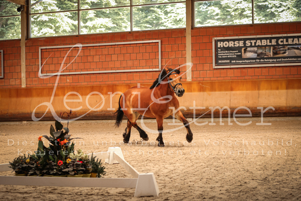 SaFL00023 | Leoni Ertmer Photography - Realisiert mit Pictrs.com