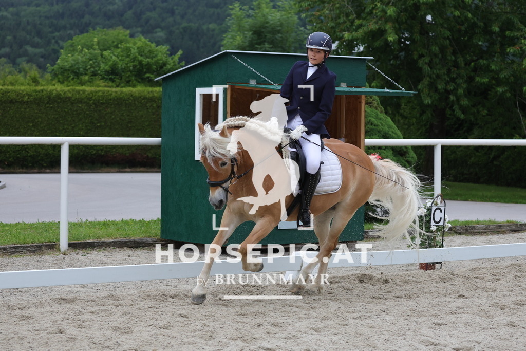 0P6A7320 | Willkommen bei Brunnmayr - Design & Fotografie – Ihrem Spezialisten für Reitturniere und Pferdeveranstaltungen in Oberösterreich, Salzburg und Bayern! Seit über 17 Jahren sind wir leidenschaftlich dabei.