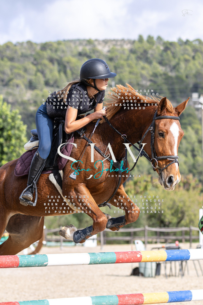 IMG_3707 | s-jay-photography - Realisiert mit Pictrs.com