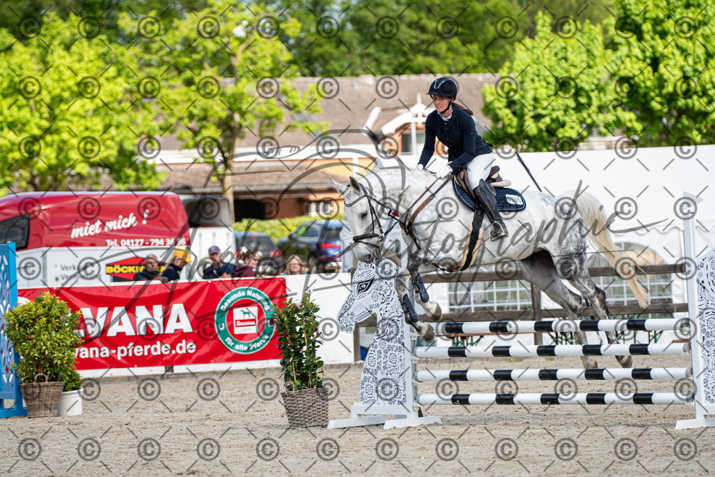 KPT_5082 | andre_photographic