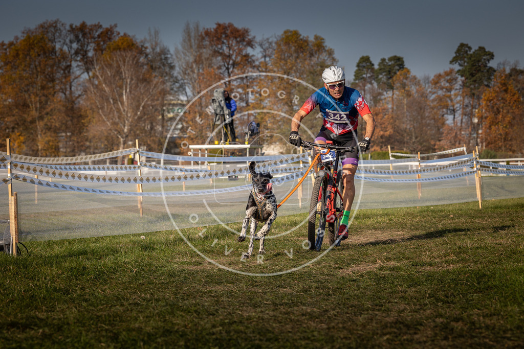 CaniXpix_0L8A7750 | Hundefotografie, Tierfotograf, Pfotenfotografie, Fotoshooting Hund, Hunde Portrait, Hundesport, Hundeportraits, Heideshooting, Hunde, Sportfotograf, Hundefotograf, Turnierhundsport, THS,  - Realisiert mit Pictrs.com