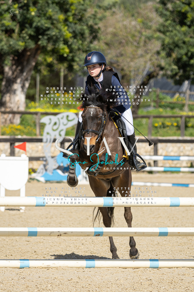 IMG_6308 | s-jay-photography - Realisiert mit Pictrs.com