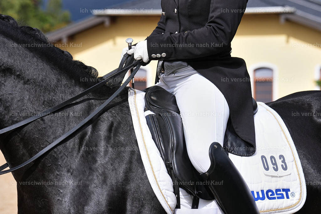 07-093-DRESSUR  S___  -Marixx-5137 | working equitationturnier fotograf videograf stoibphotography marixx film working equitation deutschland reitsport turnierfotografie eventfotografie equestrian events