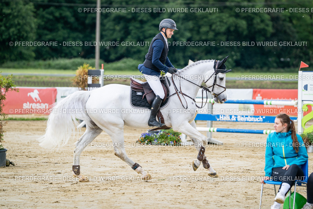 DSC04220 | Pferdegrafie