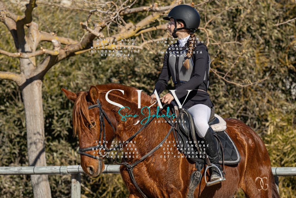 IMG_8200 | s-jay-photography - Realisiert mit Pictrs.com