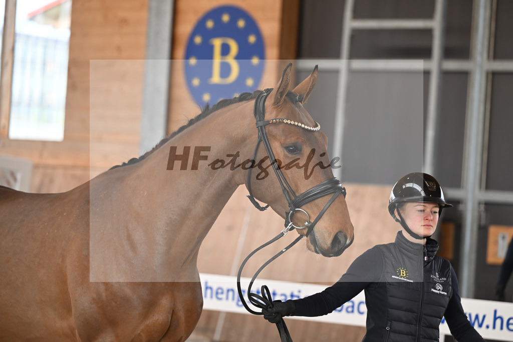 Kat-Nr. 10 Vigaronit v. Vigaro_Feichtner_14260835 | hf-fotografie - Realizzato con Pictrs.com