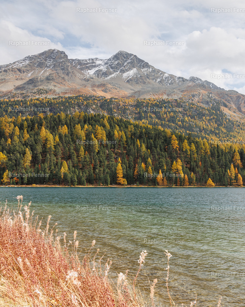 IMG_9481 | Erlebe eindrucksvolle Landschaftsfotografie aus dem Engadin und darüber hinaus. Raphael Fenner bietet zudem professionelle Fotoaufträge für Hochzeiten, Porträts und Unternehmen. Jetzt entdecken und inspirieren lassen!