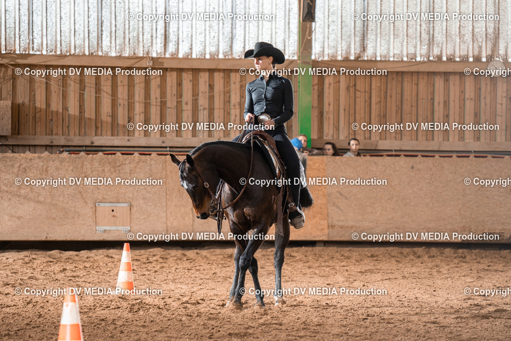 BAL01713 | dv-media-shop - Realisiert mit Pictrs.com