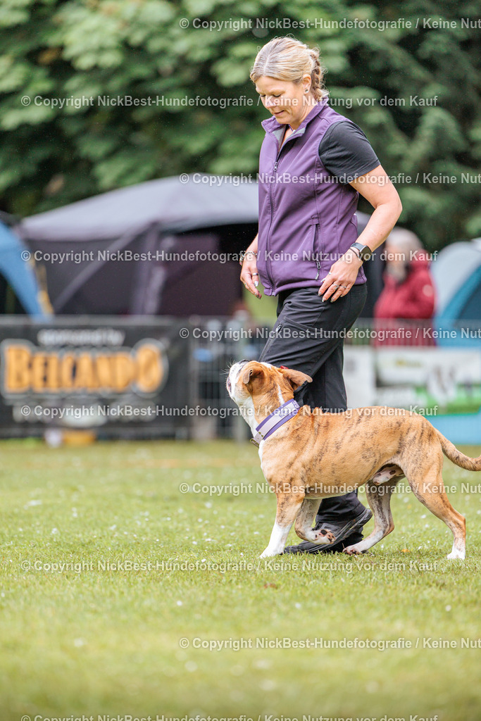 RO-Blumenthal-2026-Nickbest-Hundefotografie-1169 | Dein Hund! Dein Moment! Deine Erinnerungen! Hundefotografie in Bremen Blumenthal. Ich fange die besonderen Momente deines Vierbeiners ein – ob Indoor mit Blitzanlage oder in der freien Natur. Sicher dir dein Moment und dein Termin für eure Erinnerungen.