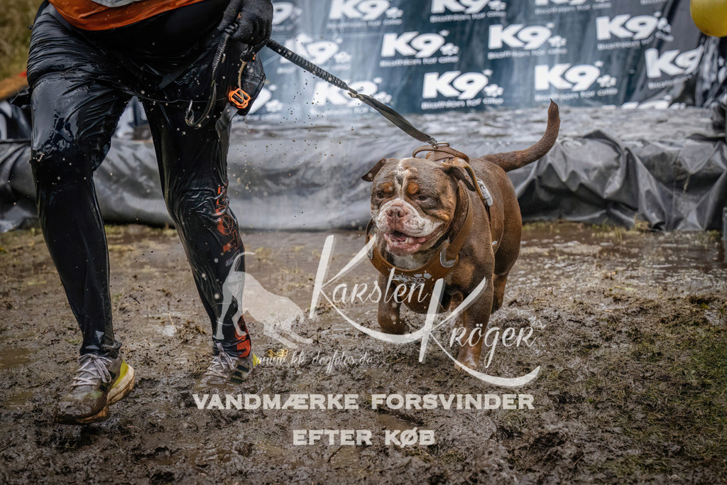 1237_ZZ90371 | kk-dogfotos