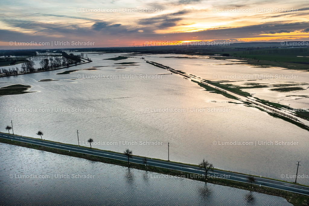 10049-51797 - Hochwasser im Großen Bruch | Stockfoto und Bilderpool mit Bildmaterial aus Deutschland, dem Harz, Halberstadt, Quedlinburg, Wernigerode und weltweit. Qualitativ hochwertige und professionelle Fotos anschauen und kaufen. - Realisiert mit Pictrs.com