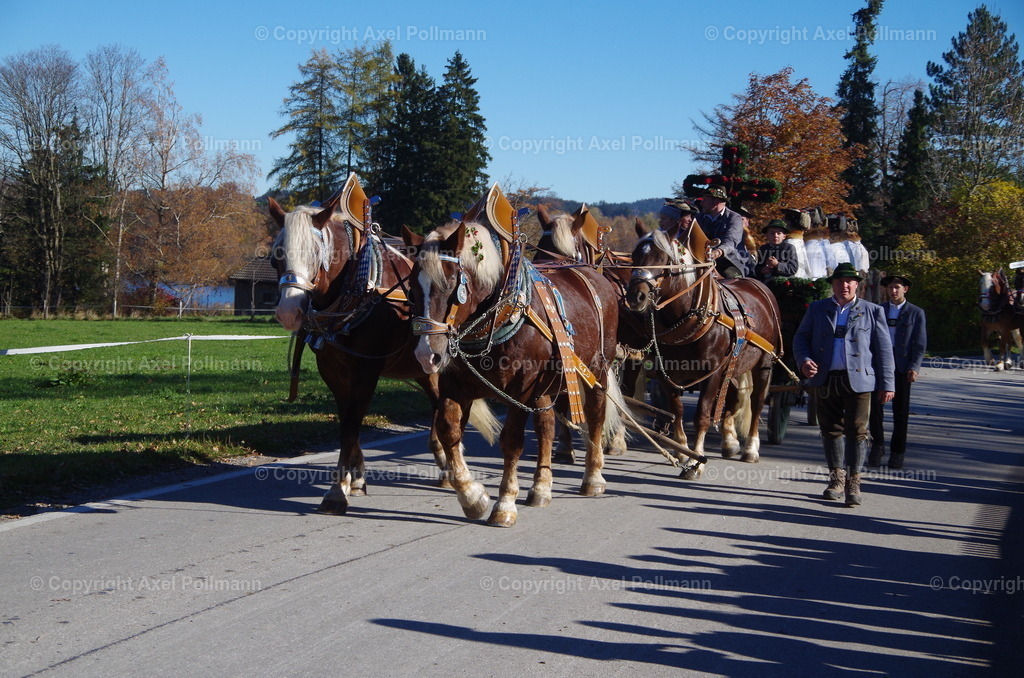 IMGP7943 | fotografiert von Axel PollmannLeonhardi Wallfahrt Benediktbeuern und Murnau, Fronleichnam, Fasching, Landschaft im Loisachtal und Benediktbeuern  - Realisiert mit Pictrs.com