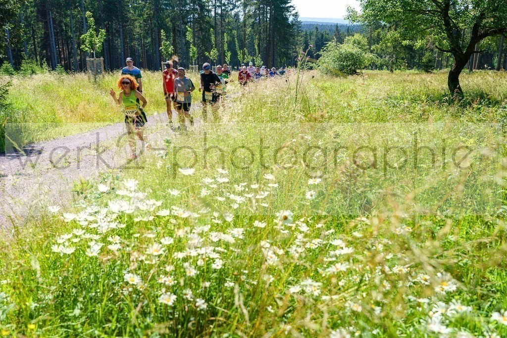 Schneekopflauf 2024 | Am 6. Juli 2024 startete der 21. Schneekopflauf von Schmiedefeld zum Schneekopf.