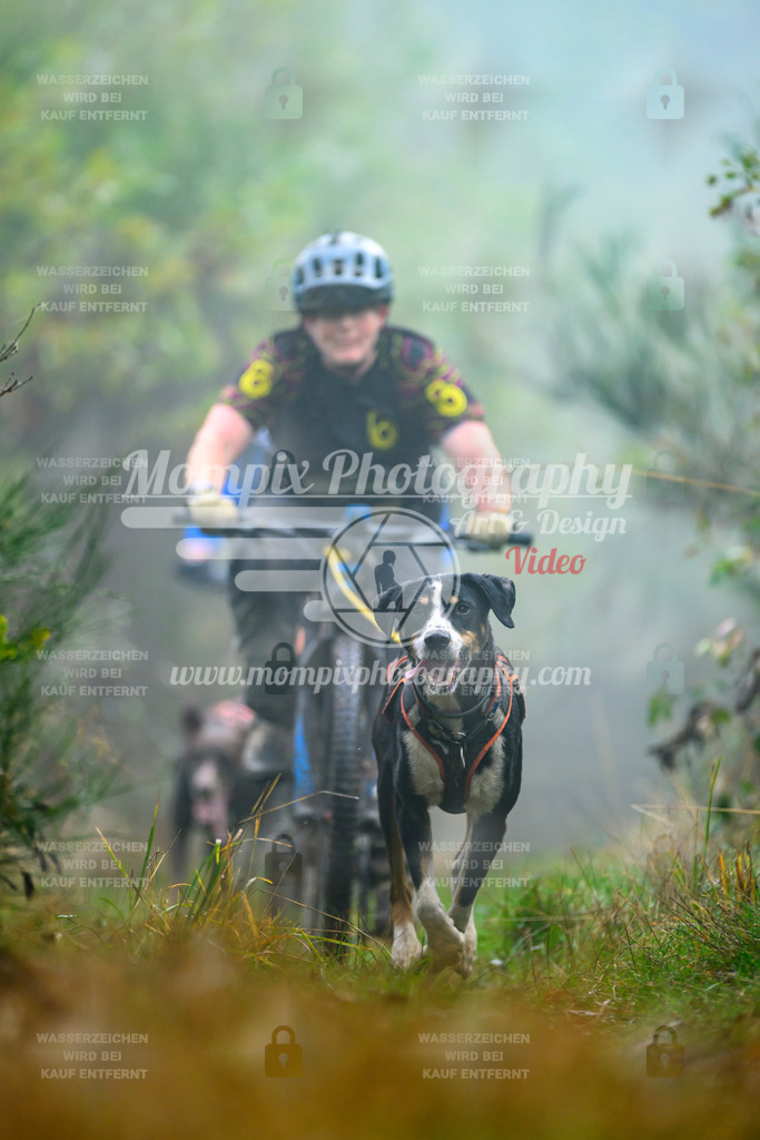 MompixPhotography_20TSB_E4_Bike-79 | PayLife