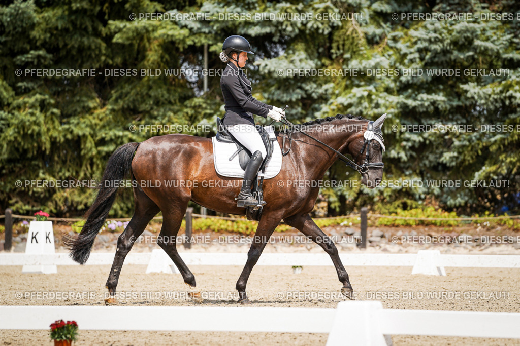 DSC02964 | Pferdegrafie