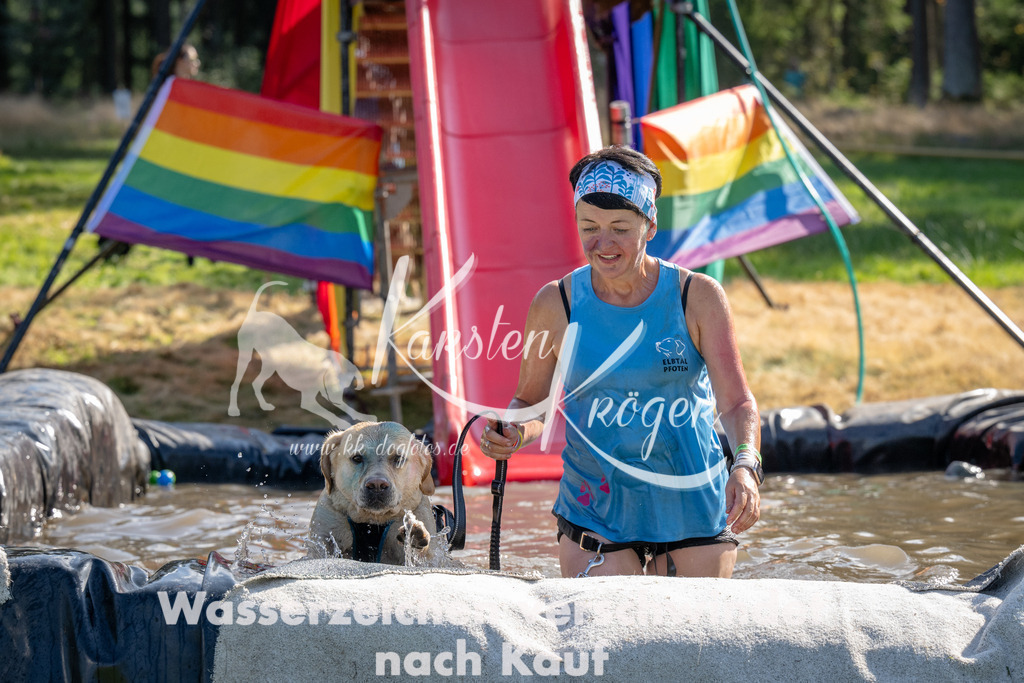 1552_ZZ91231 | kk-dogfotos