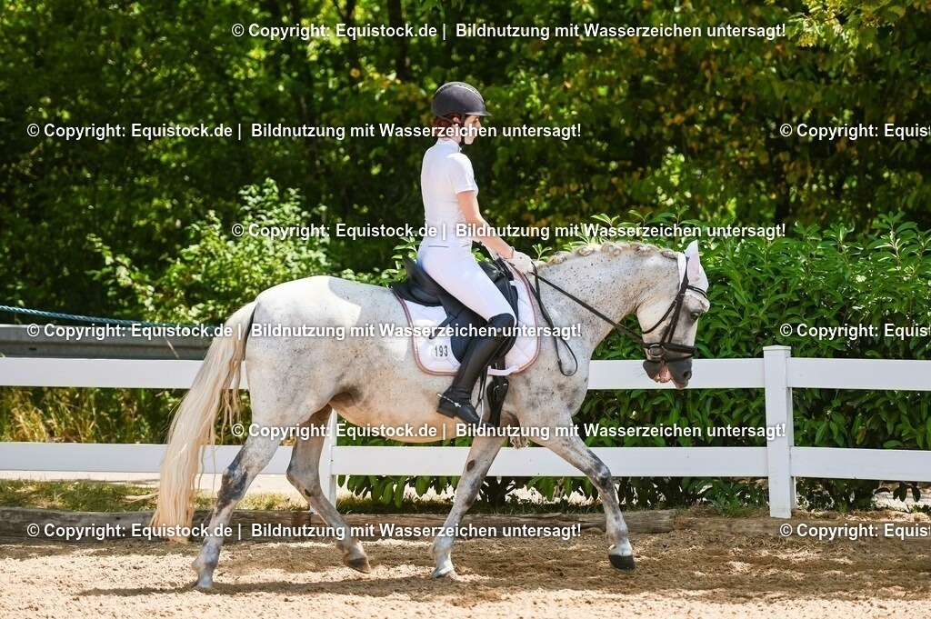 20230715_09_Dressur-WB_0304 | equistock