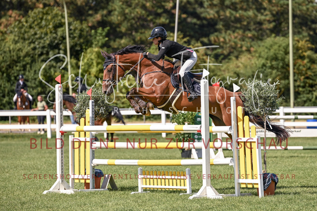 Schugtsche-Düren.2024-09.Springprf.L-184 | Schugtsche Fotografie - Realisiert mit Pictrs.com