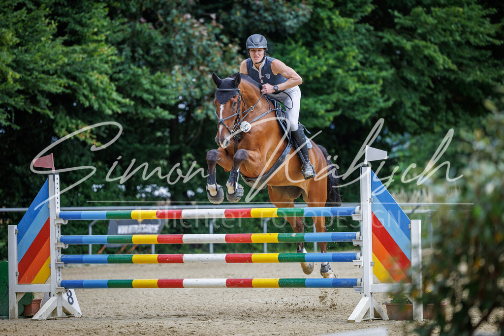 20260705-_3LI6491 | Tierfotografie Pferde, Hunde, Katzen, Haustiere.
Turnierfotografie Reitturniere, Reiten, Springreiten, Dressur in Hanau, dem Main-Kinzig-Kreis und dem Rhein-Main- Gebiet um Frankfurt