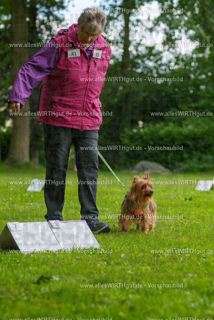 @allesWIRTHgut_Tierfotografie - www.allesWIRTHgut.de - 122212-7R508908 | Professionelle Tierfotografie in Mönchengladbach von Daniel Wirth (allesWIRTHgut). Liebevolle & natürliche Bilder von Hunden & Katzen für unvergessliche Erinnerungen.