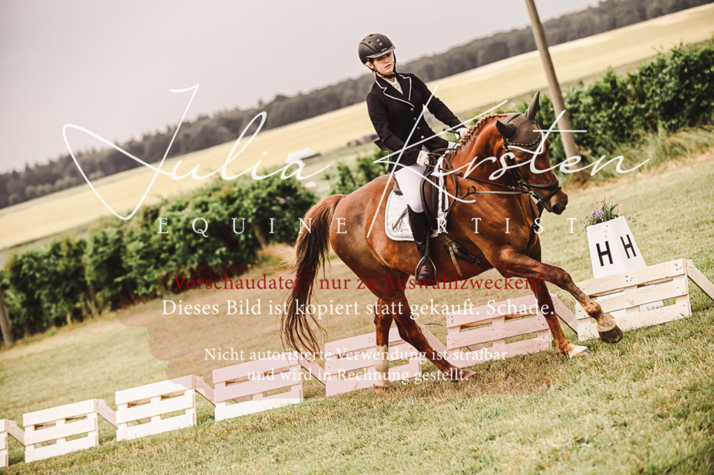 DSC_4865 | Pferde- und Turnierfotografie in Westsachsen. Pferdeportraits, Auftragszeichnungen und intuitive Kunst.
