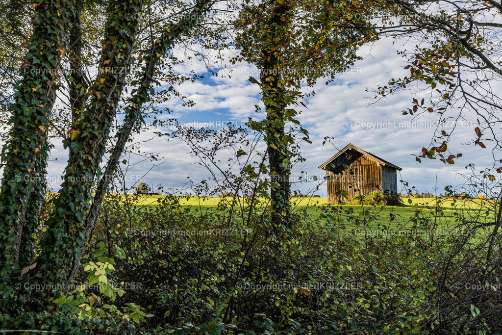 _J3A8927 | medienkrizzler - Realisiert mit Pictrs.com