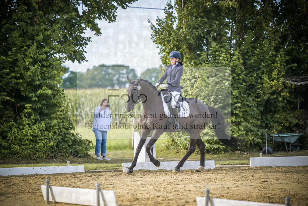 DOS_0652 | Entdecke hochwertige Reitturnierfotos von Foto Oger. Professionell, emotional und authentisch – jetzt Lieblingsmomente im Shop bestellen.Deutschlandweite Turnierfotografie. - Realisiert mit Pictrs.com