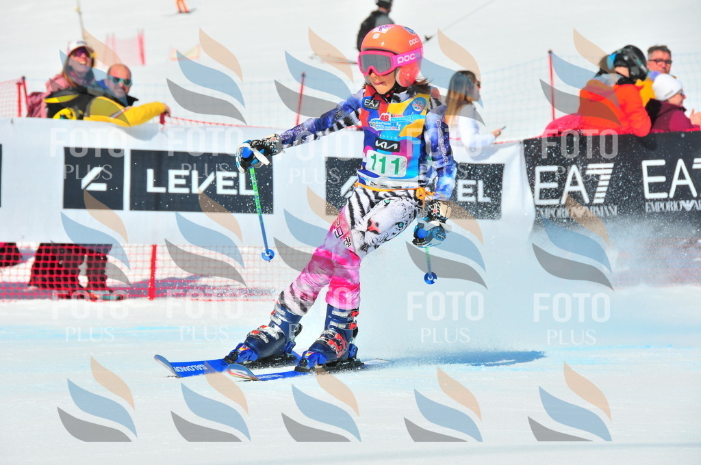 DSC_0851 | holidayphoto