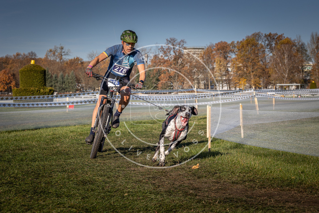 CaniXpix_0L8A5221 | Hundefotografie, Tierfotograf, Pfotenfotografie, Fotoshooting Hund, Hunde Portrait, Hundesport, Hundeportraits, Heideshooting, Hunde, Sportfotograf, Hundefotograf, Turnierhundsport, THS,  - Realisiert mit Pictrs.com