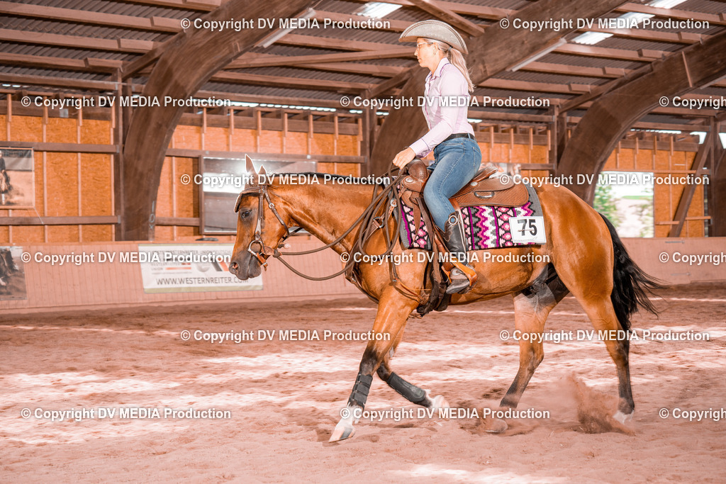 NE300503 | dv-media-shop - Realisiert mit Pictrs.com