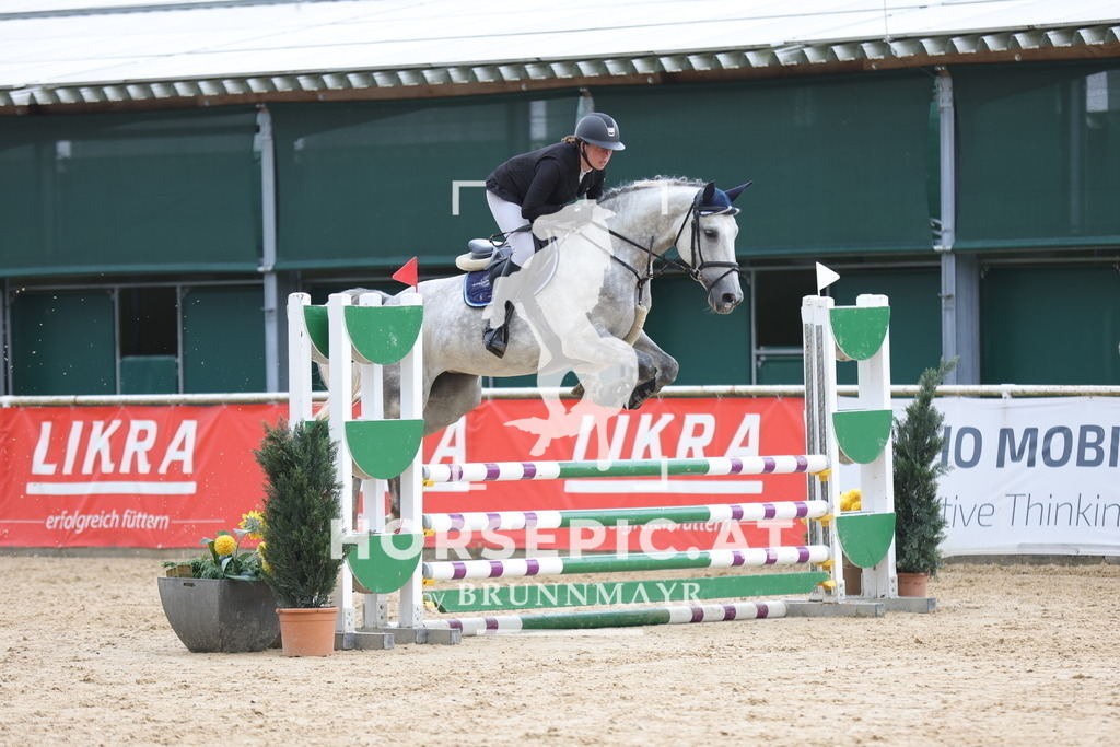 0P6A3134 | Willkommen bei Brunnmayr - Design & Fotografie – Ihrem Spezialisten für Reitturniere und Pferdeveranstaltungen in Oberösterreich, Salzburg und Bayern! Seit über 17 Jahren sind wir leidenschaftlich dabei.